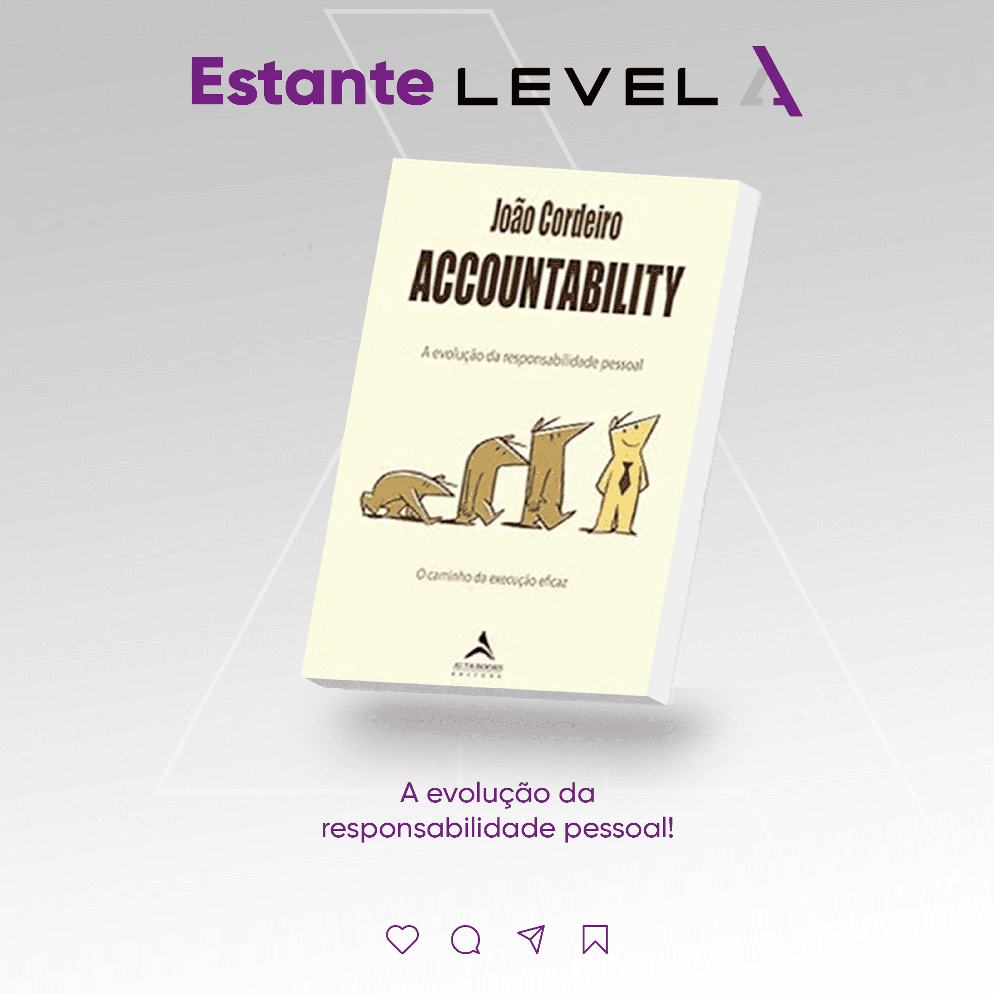 Livro: Accountability