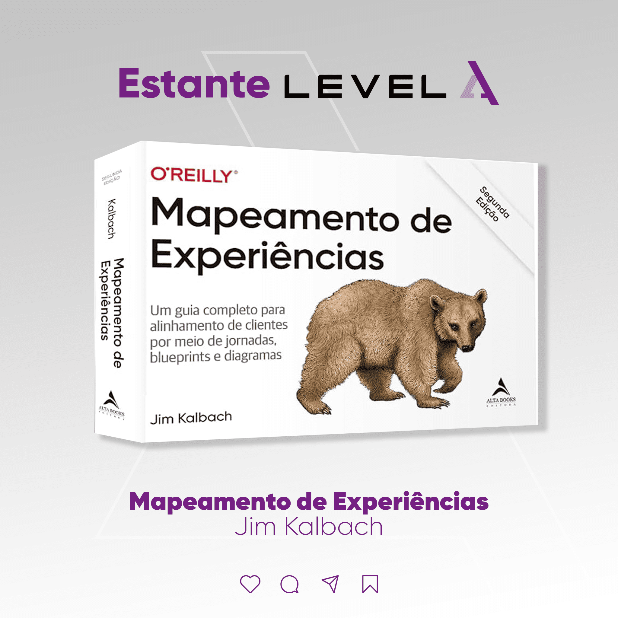 Livro: Mapeamento de experiências